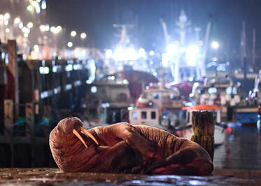 Searching for a home on a hotter planet